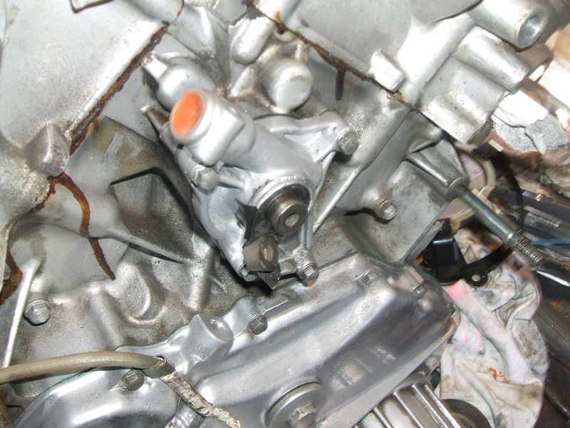 DSCF5667.JPG
