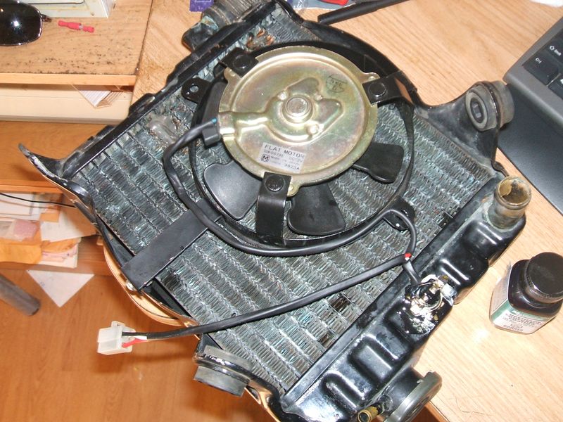 DSCF5739.JPG